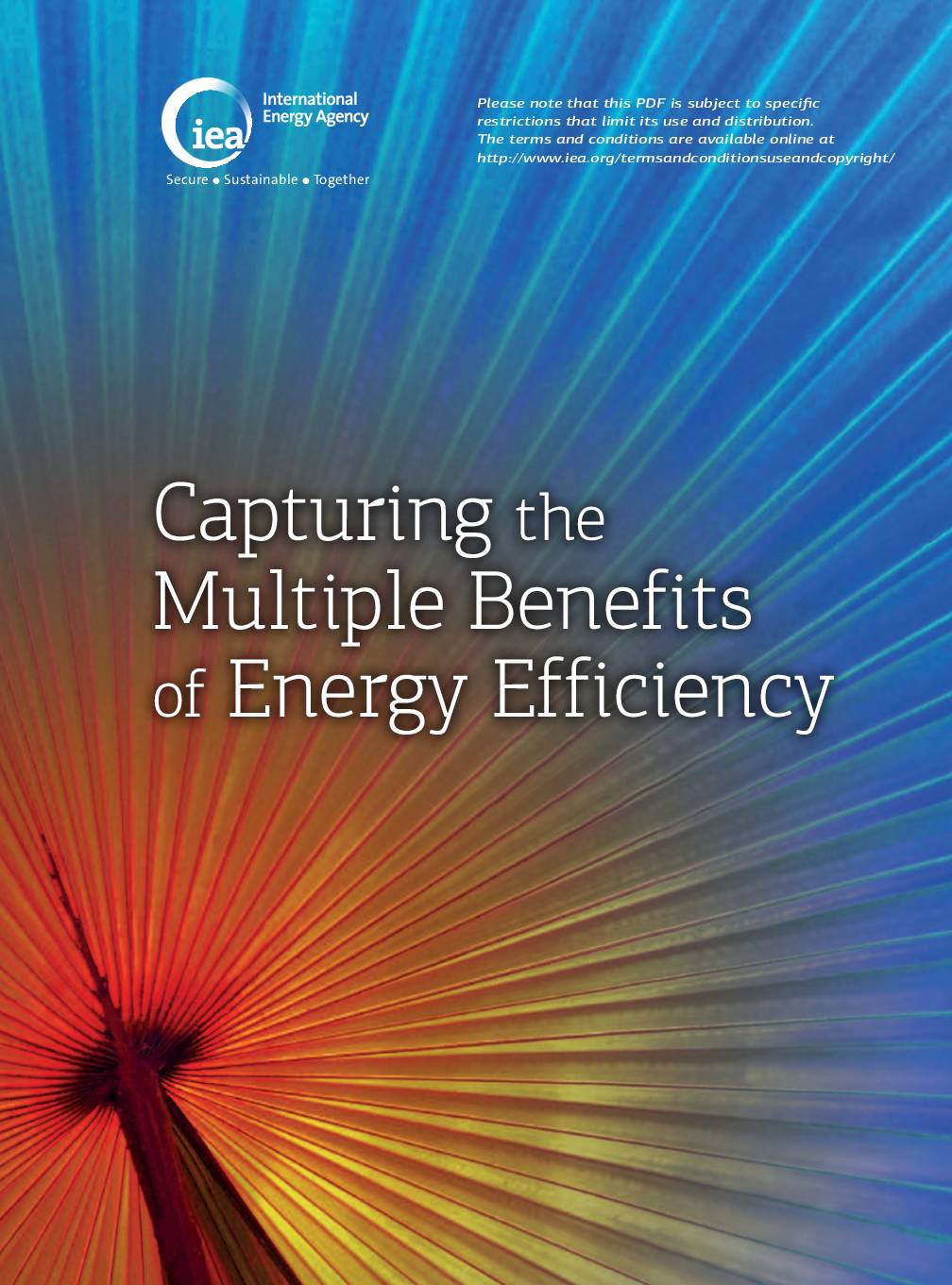 Capturing the Multiple Benefits of Energy Efficiency