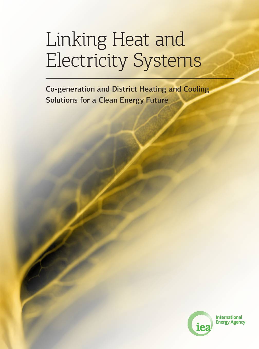 Linking Heat and Electricity Systems