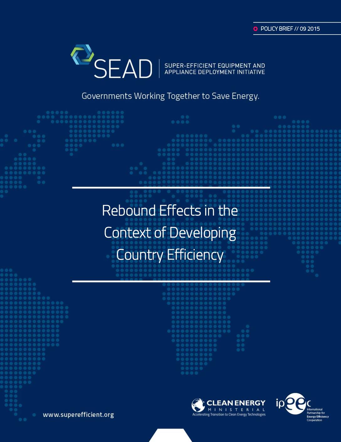 Rebound Effects and Developing Countries