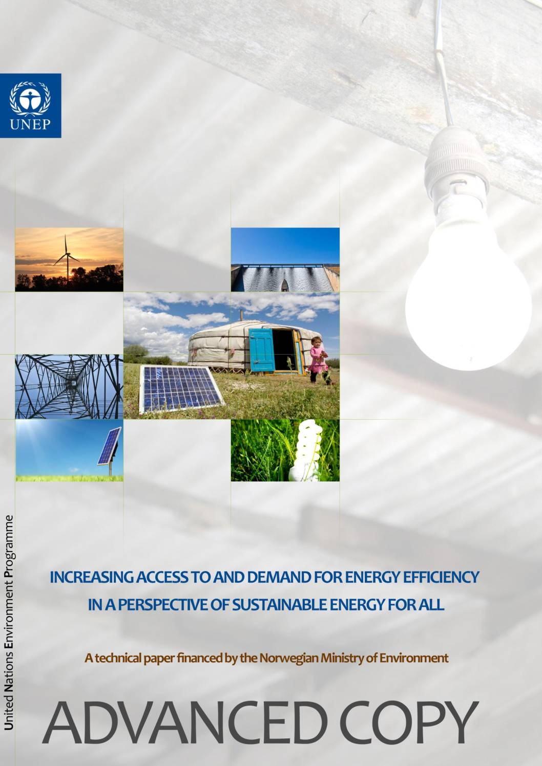 Increasing Access to and Demand for Energy Efficiency in a Perspective of Sustainable Energy for All