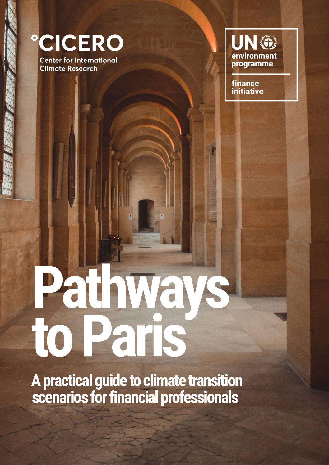 Pathways to Paris: A Practical Guide to Transition Scenarios for Finance Professionals