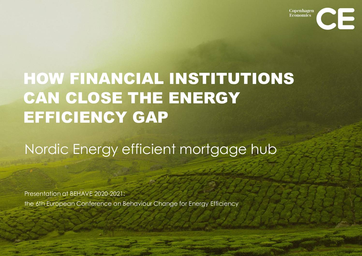 How financial institutions can close the energy efficiency gap