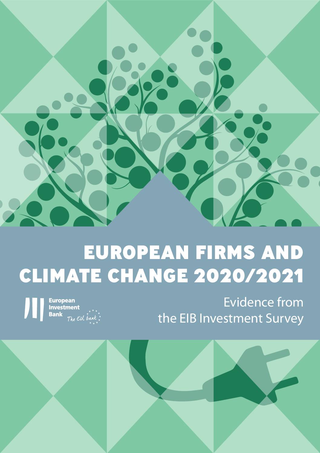 European Firms and Climate Change: 2020/2021: Evidence From the EIB Investment Survey
