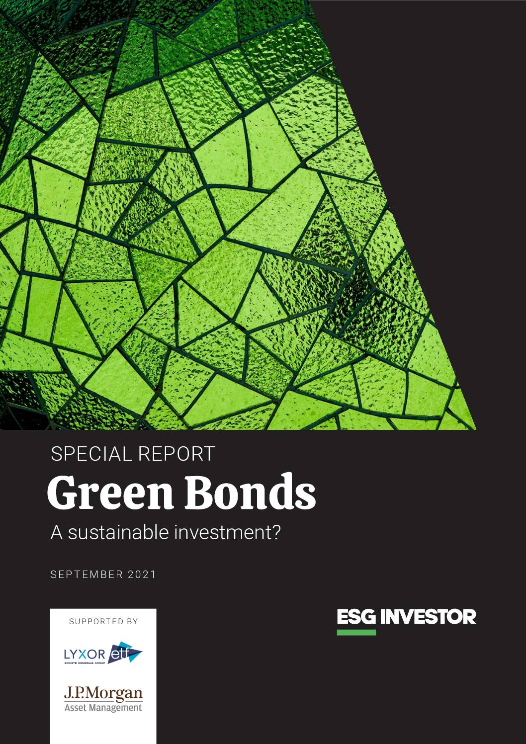 Special Report: Green Bonds